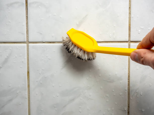 Best Post-Flood Mold Remediation in Hollywood, FL