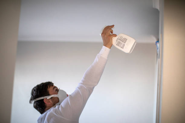 Best Bathroom Mold Remediation in Hollywood, FL