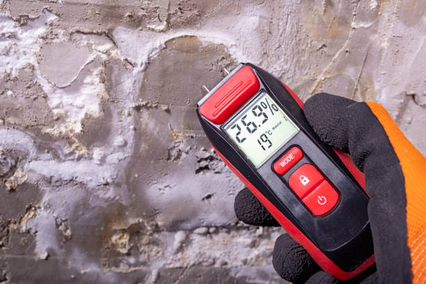 Hollywood, FL Mold Remediation Company
